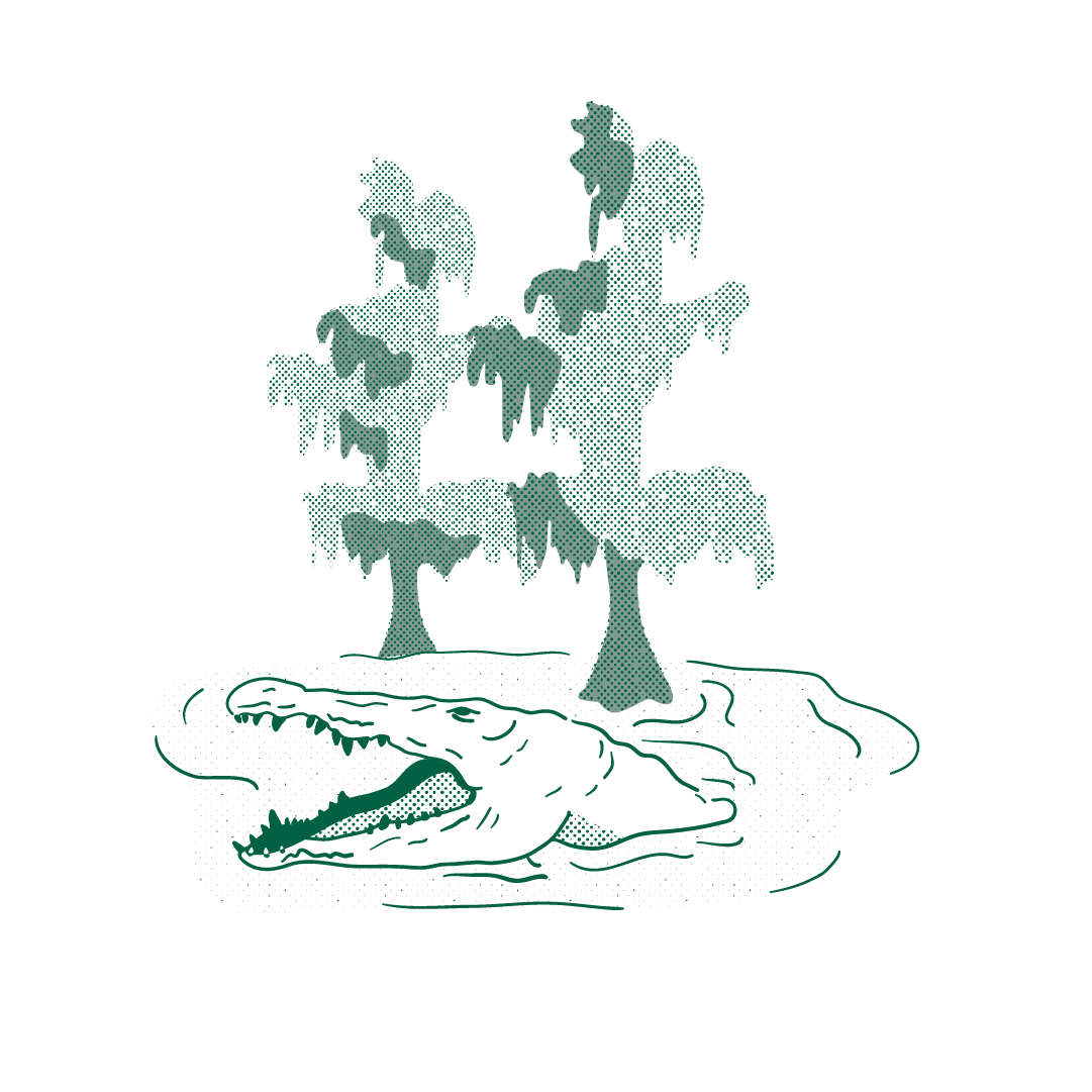 gator